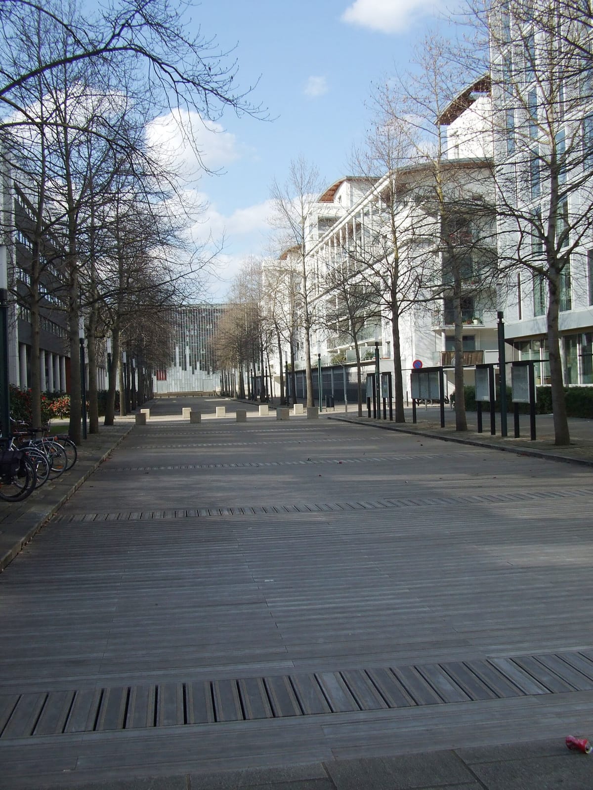 Café des Expos photo 3