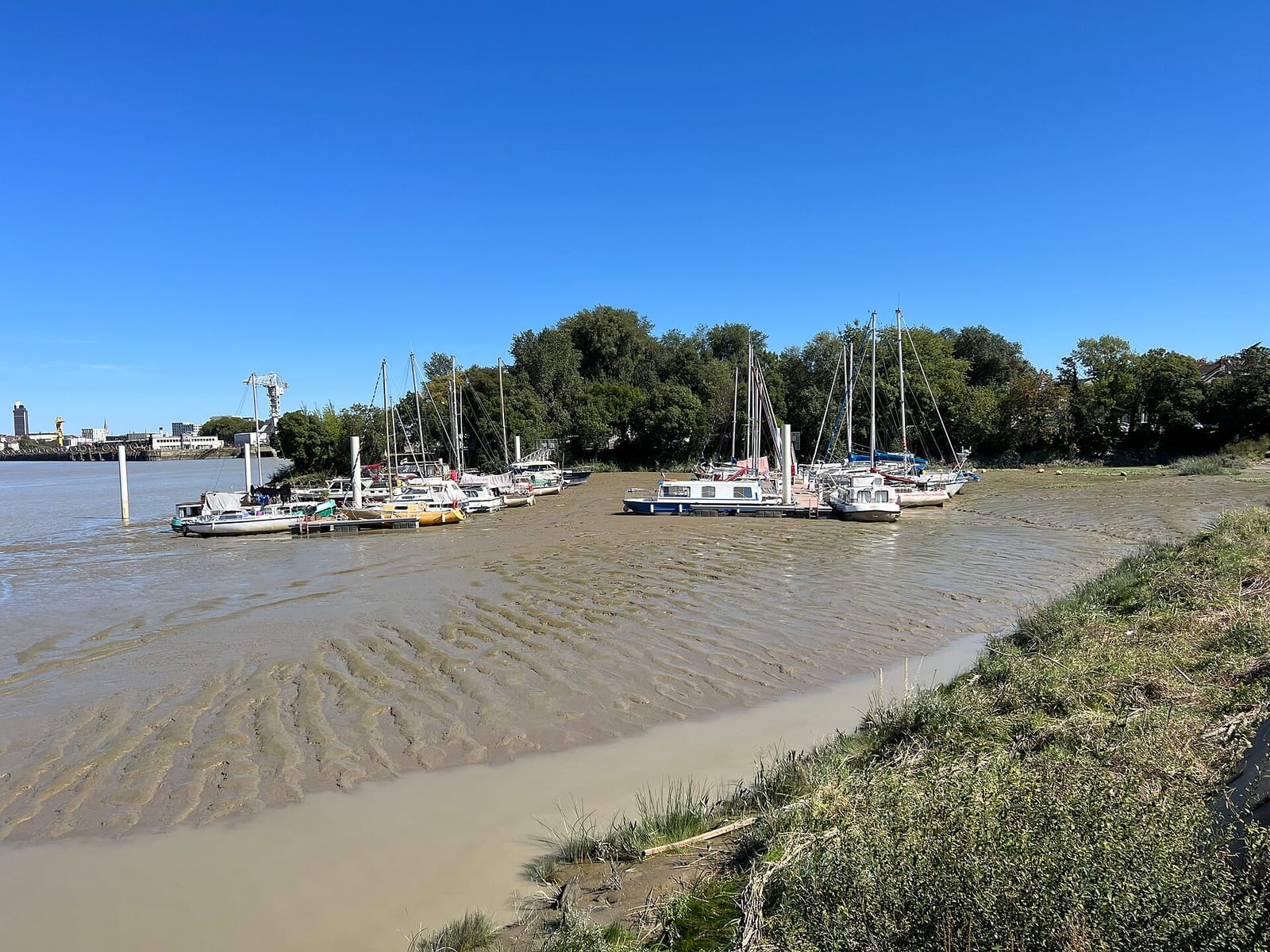 Le Bistrot du Port photo 3