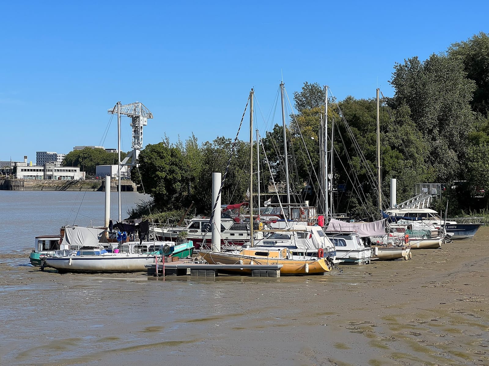 Le Bistrot du Port photo 4