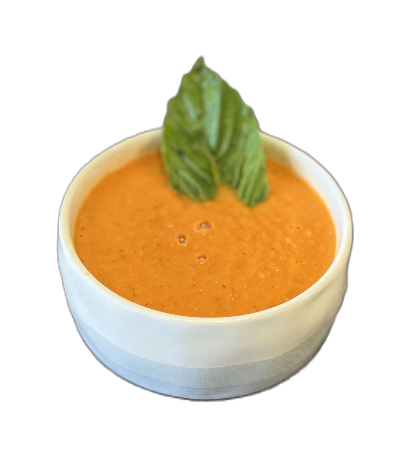 Vibe Organic Juice Bar