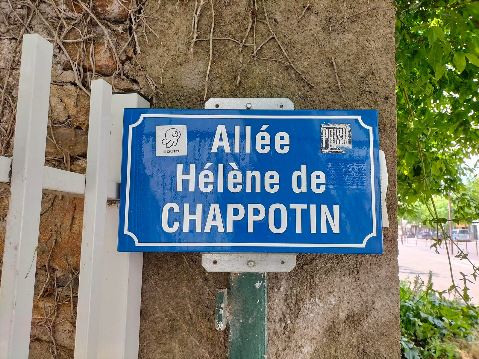 Zinc de Trèfle photo 2