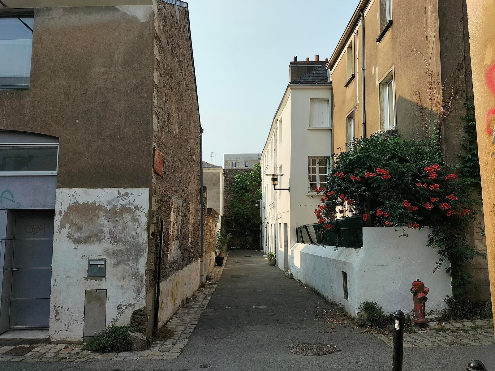 L'atelier argentique photo 2