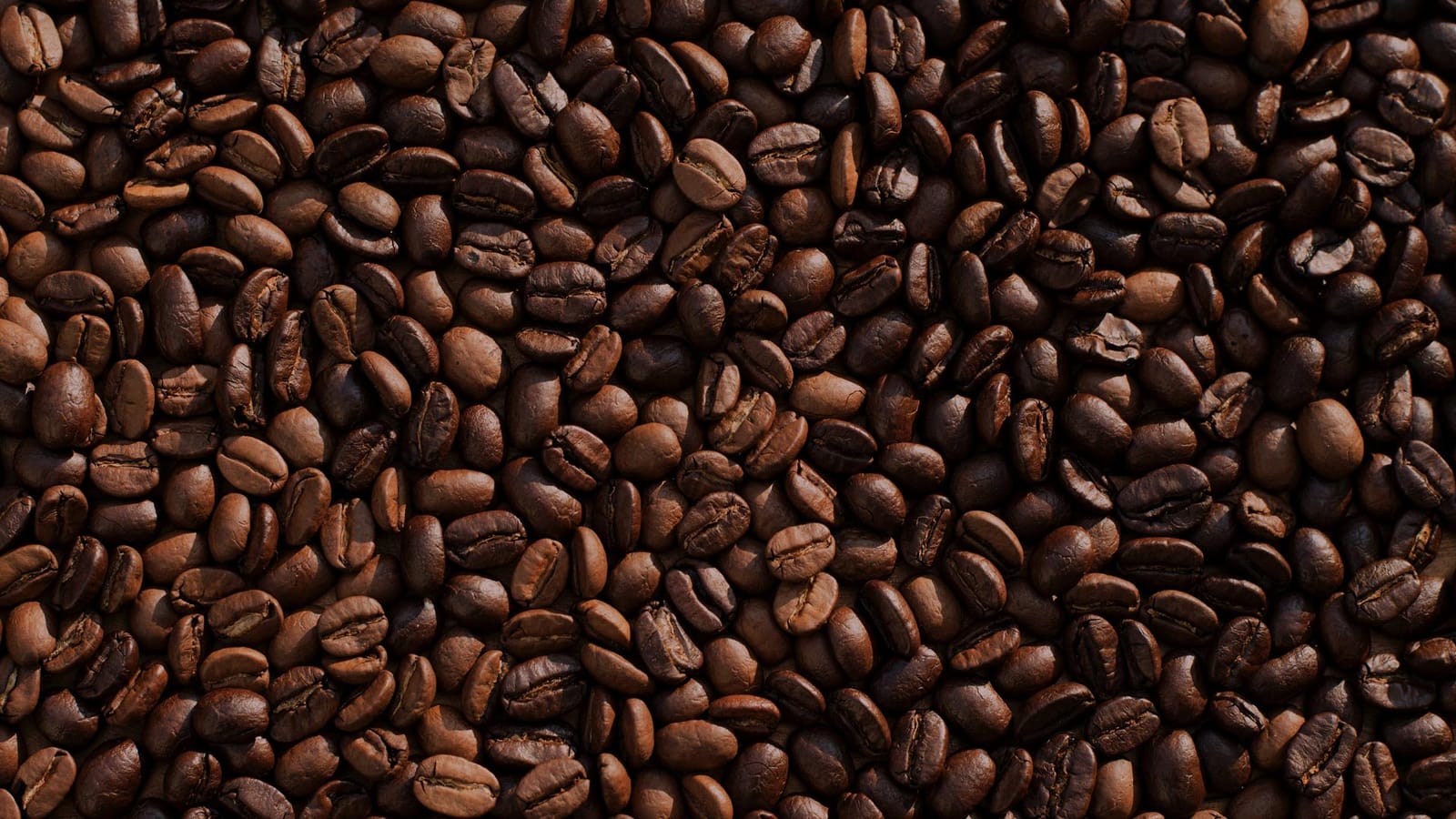 Melbourne Coffee photo 4