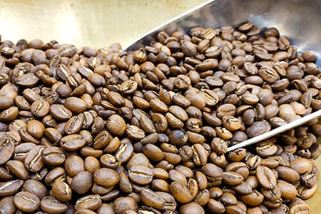 Le Caféier photo 4