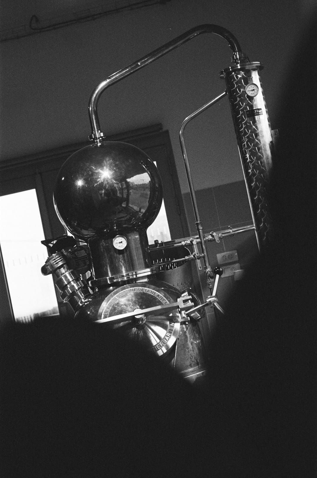 fizet photo 5