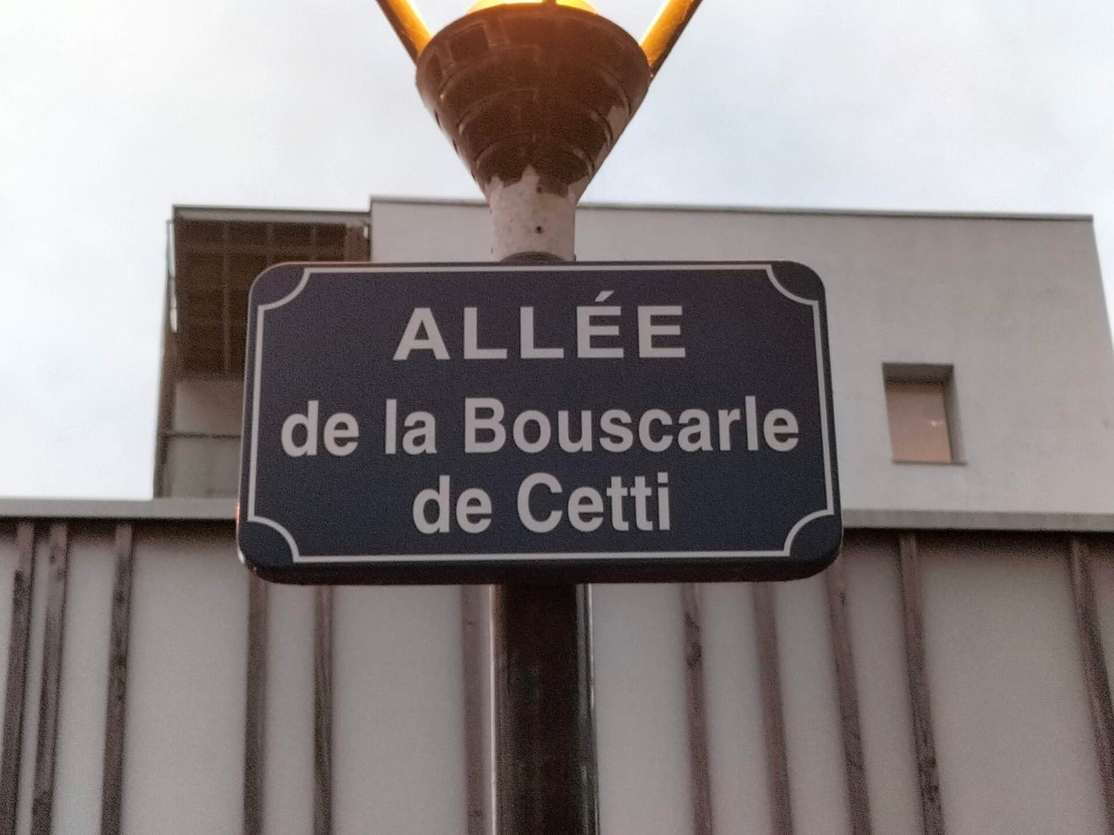 GEM Le Nouveau Cap photo 3