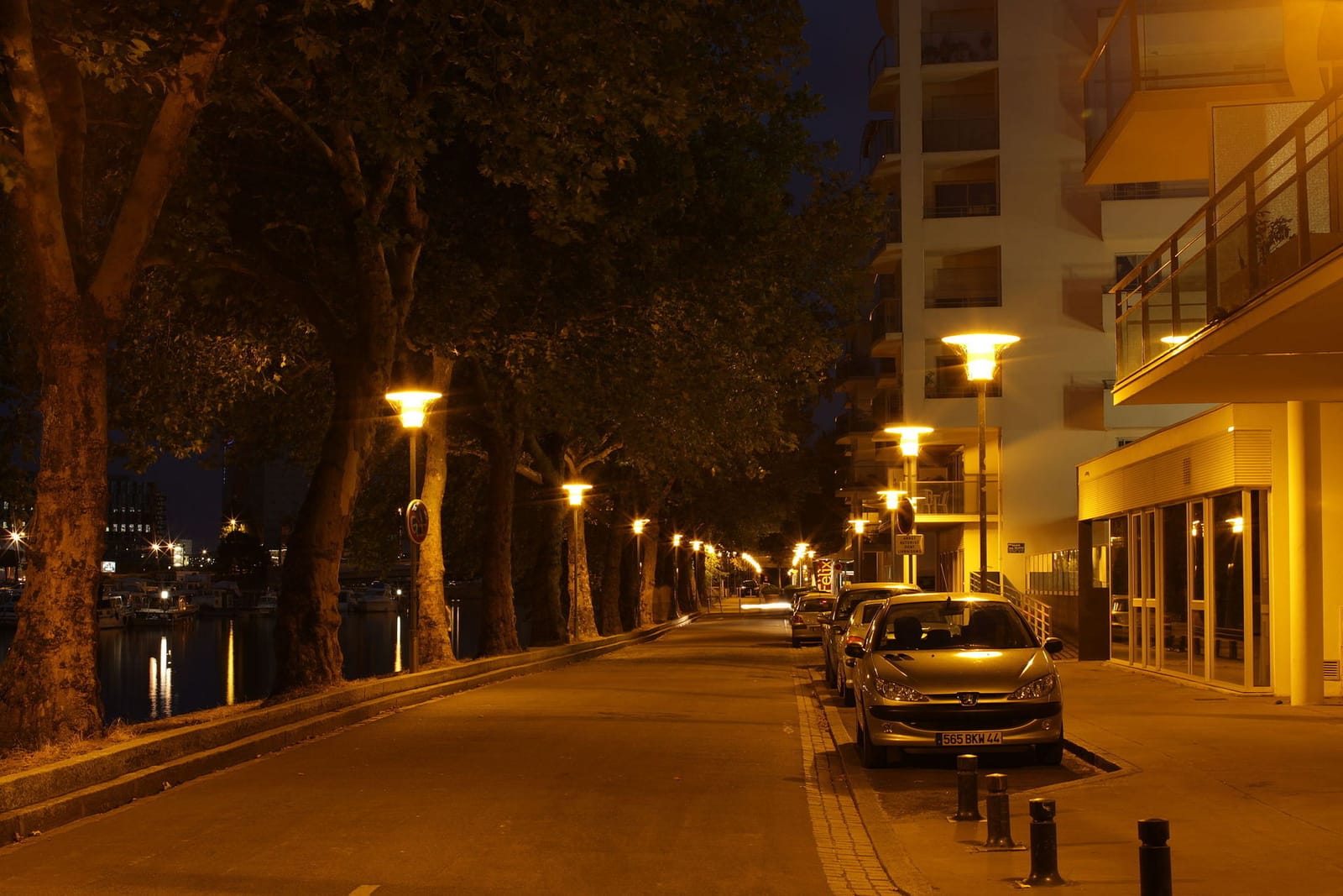 Bonsaï photo 2