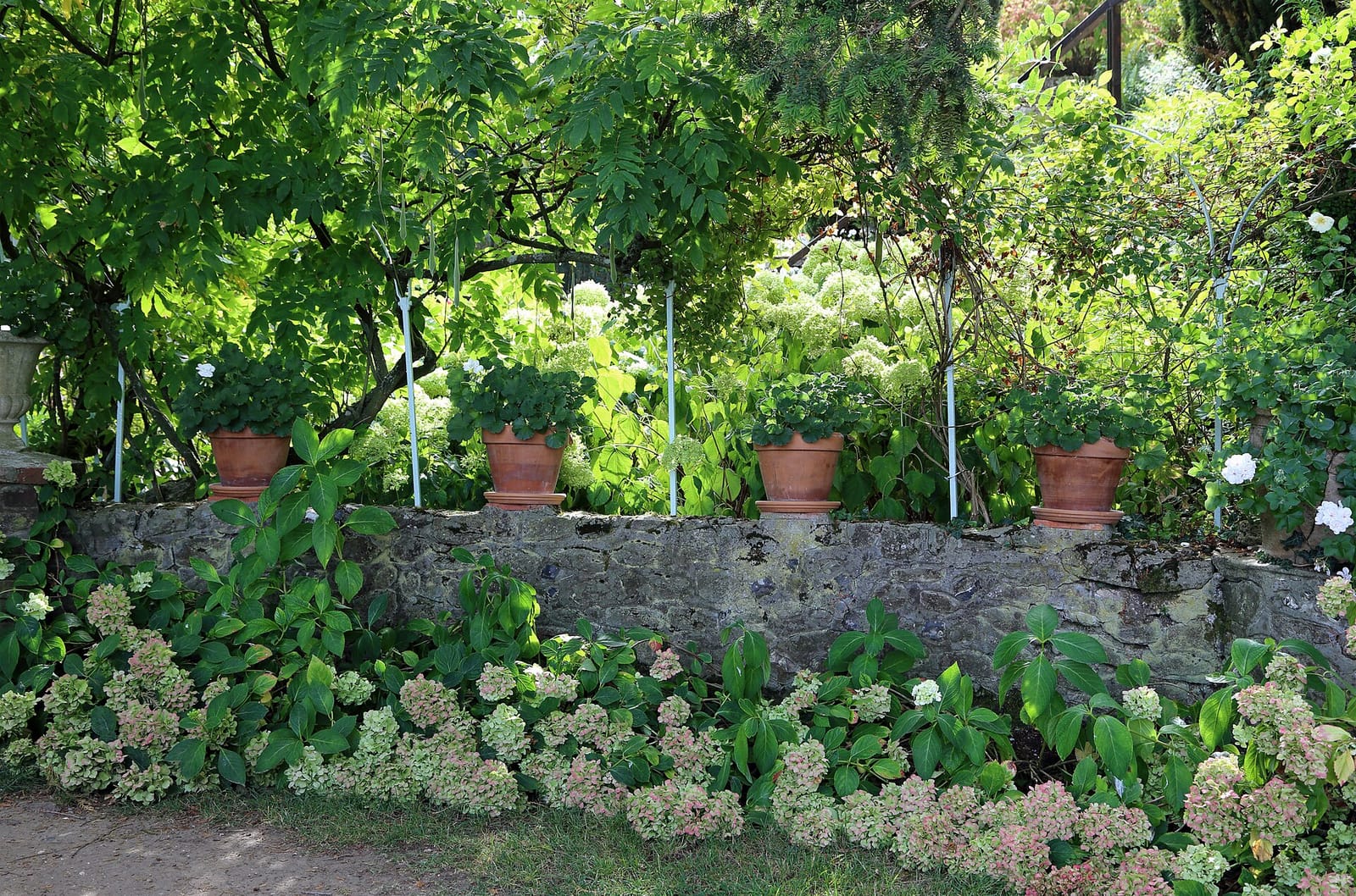 Les Jardins du Vidame photo 3