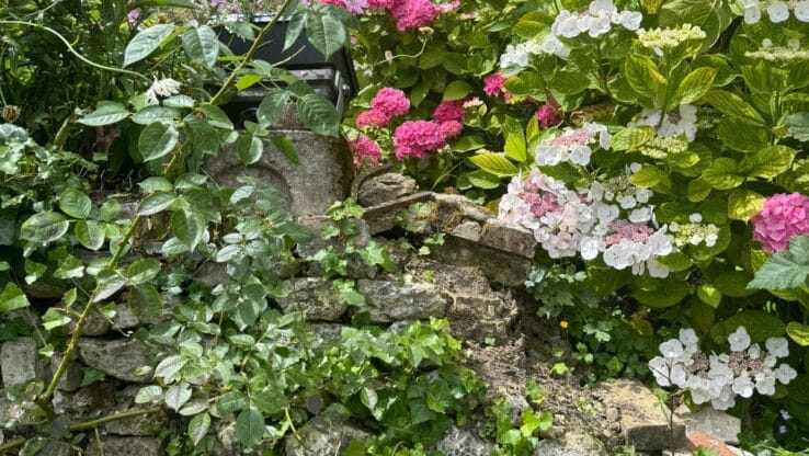 La cheminée gourmande photo 3