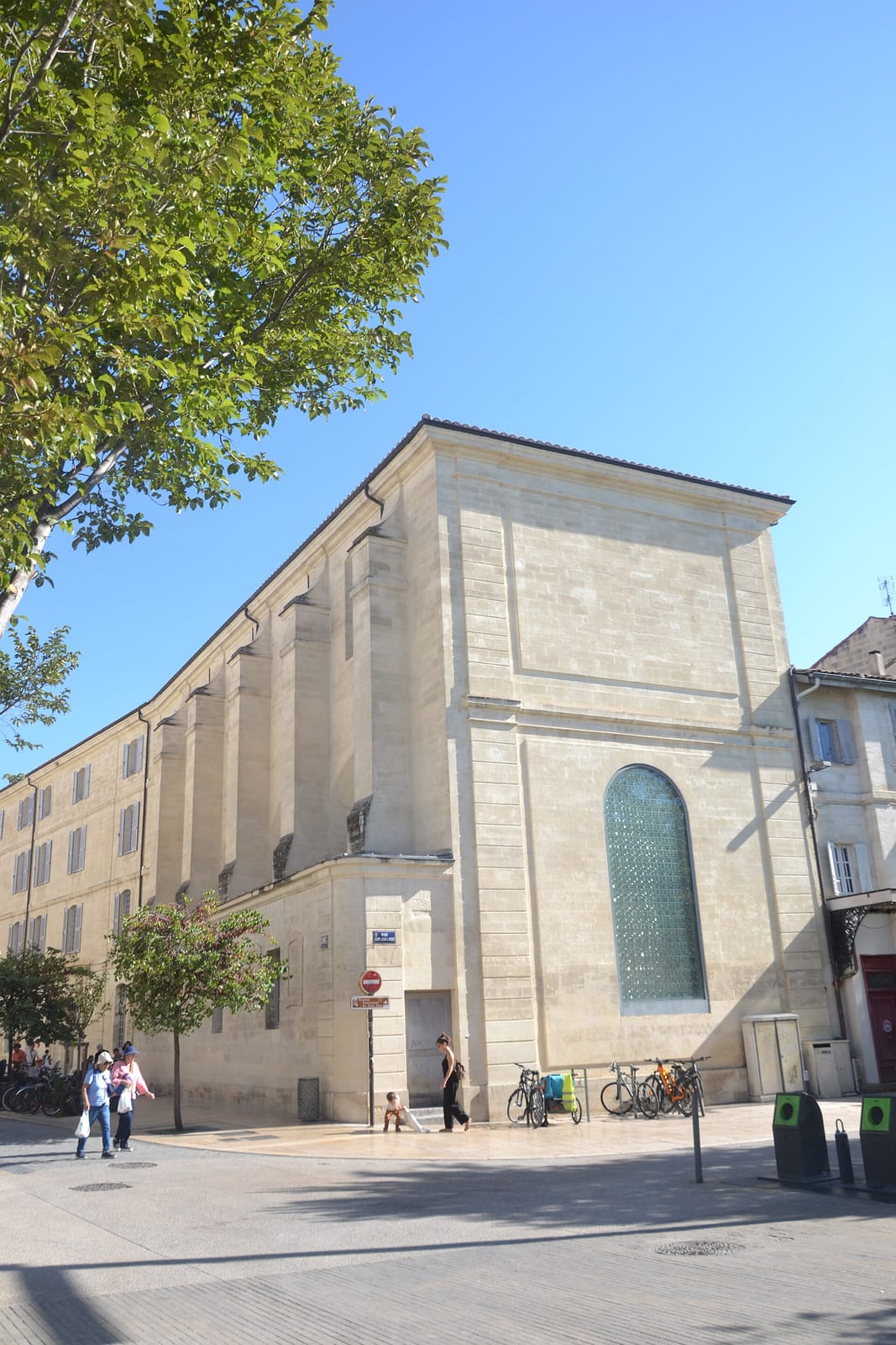 Lalogène photo 2