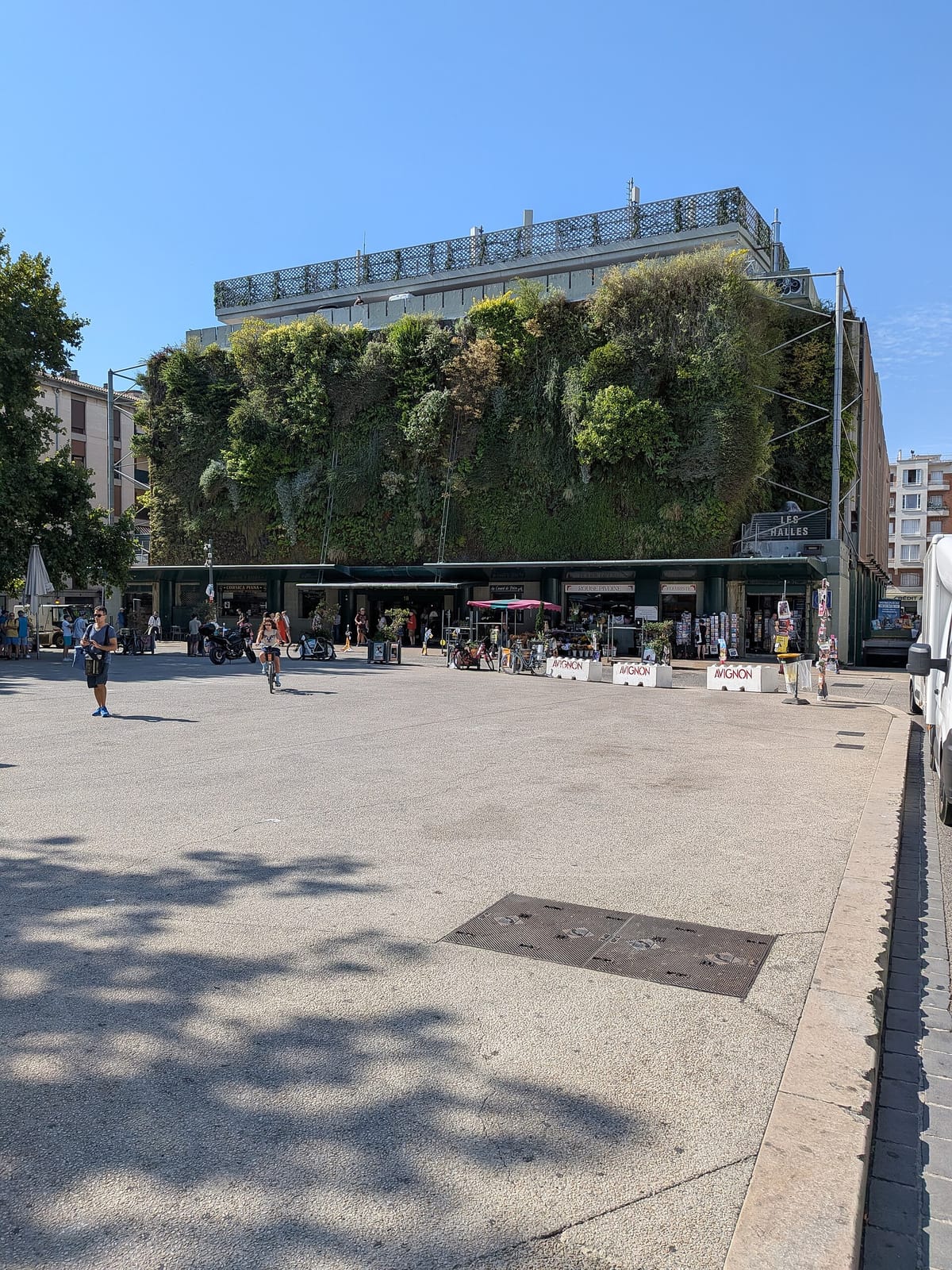 Lalogène photo 4