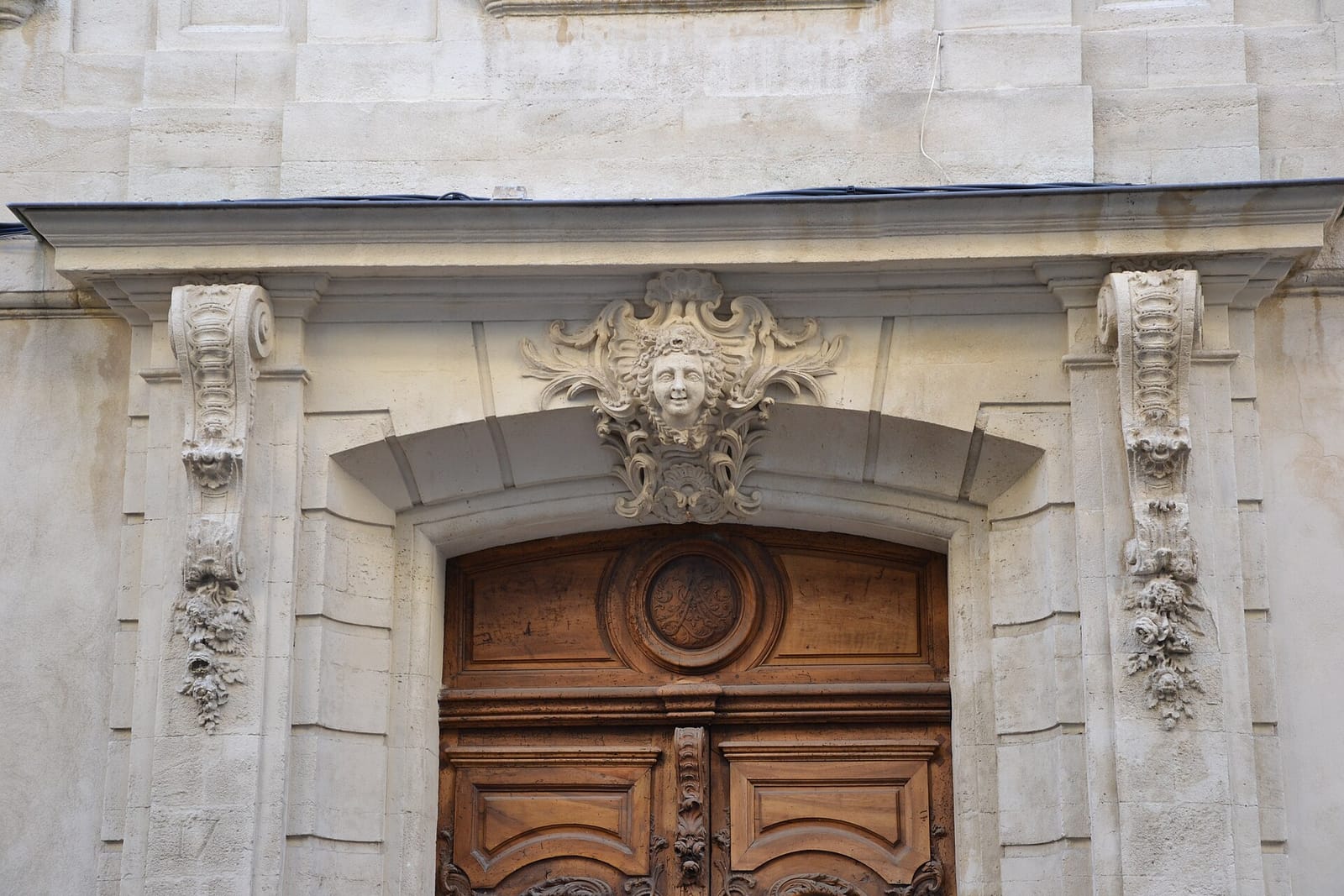 Le nid photo 5