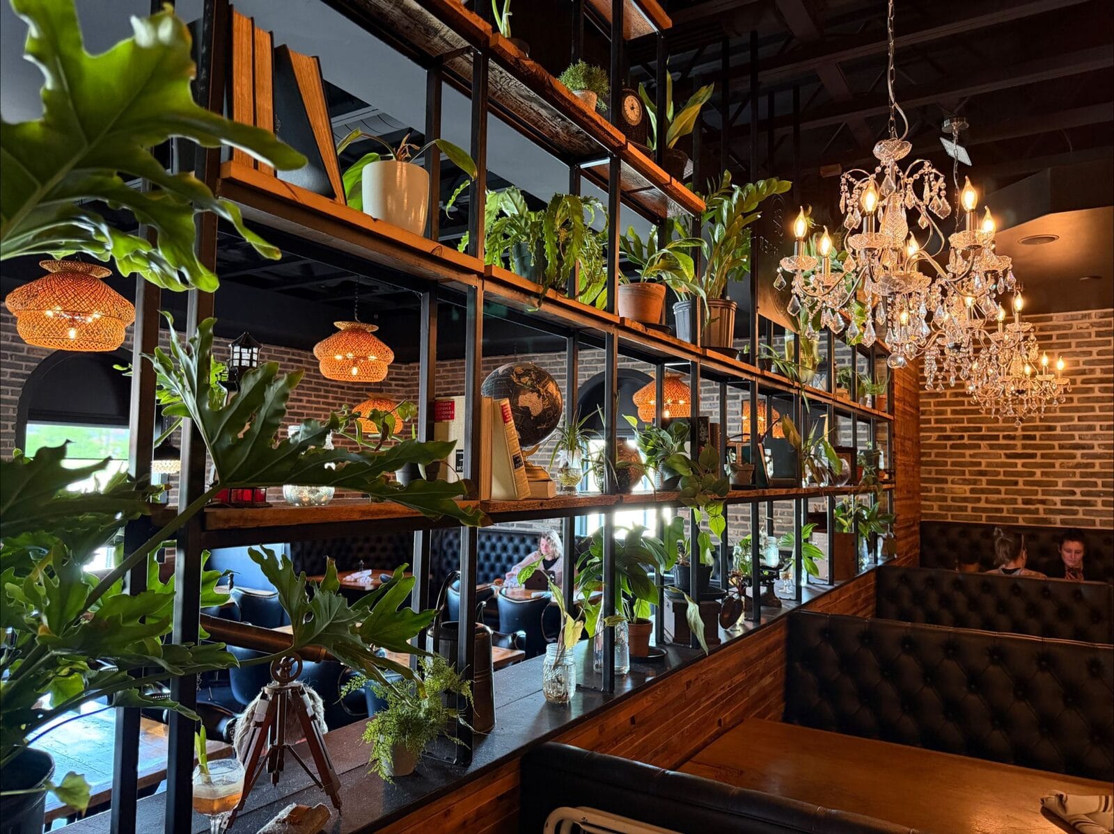 Curiouser Coffee & Conservatory