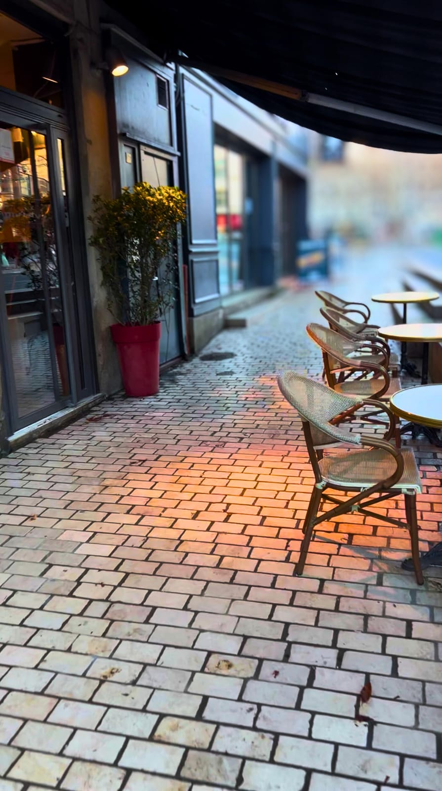 P'tit Bistrot photo 3
