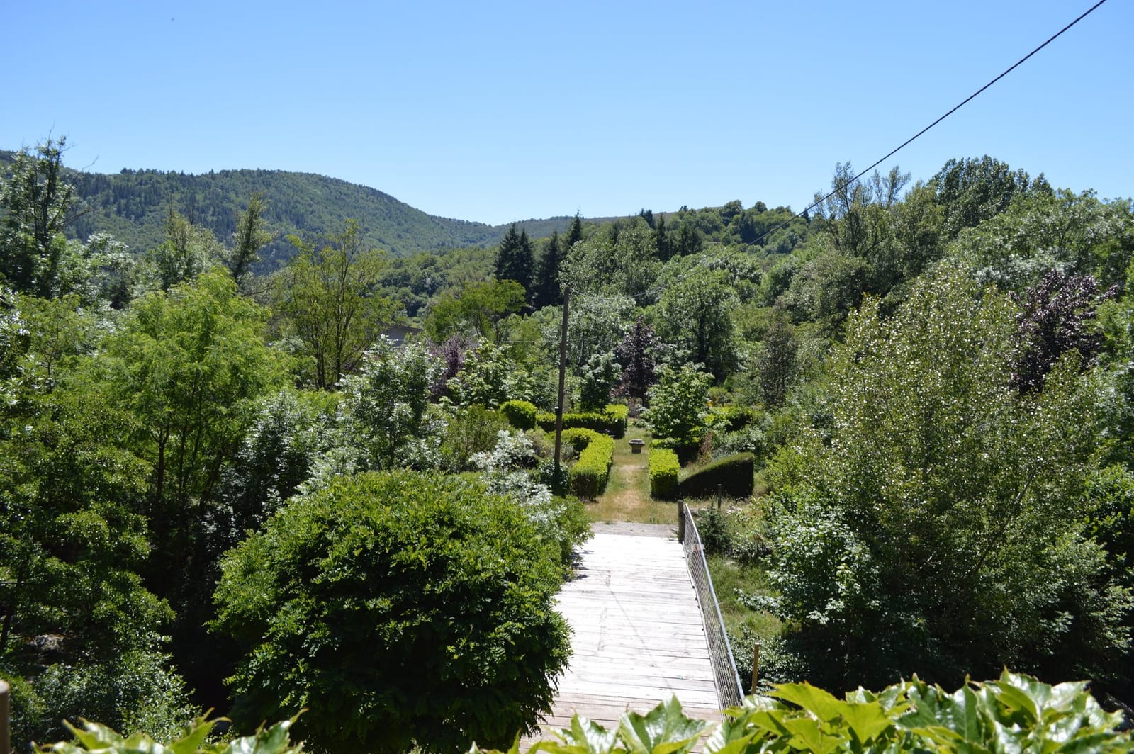 La messicole photo 3