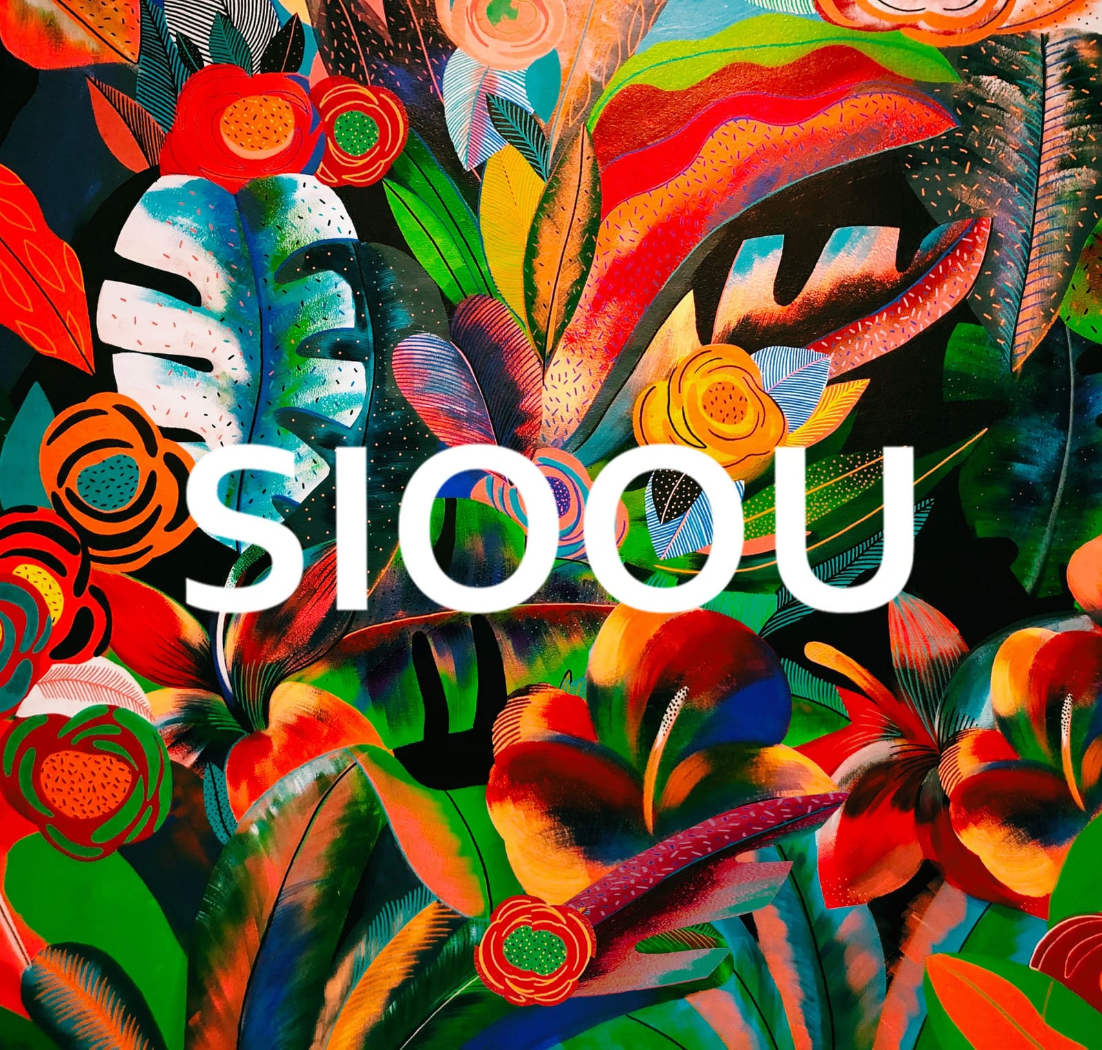 Sioou photo 2