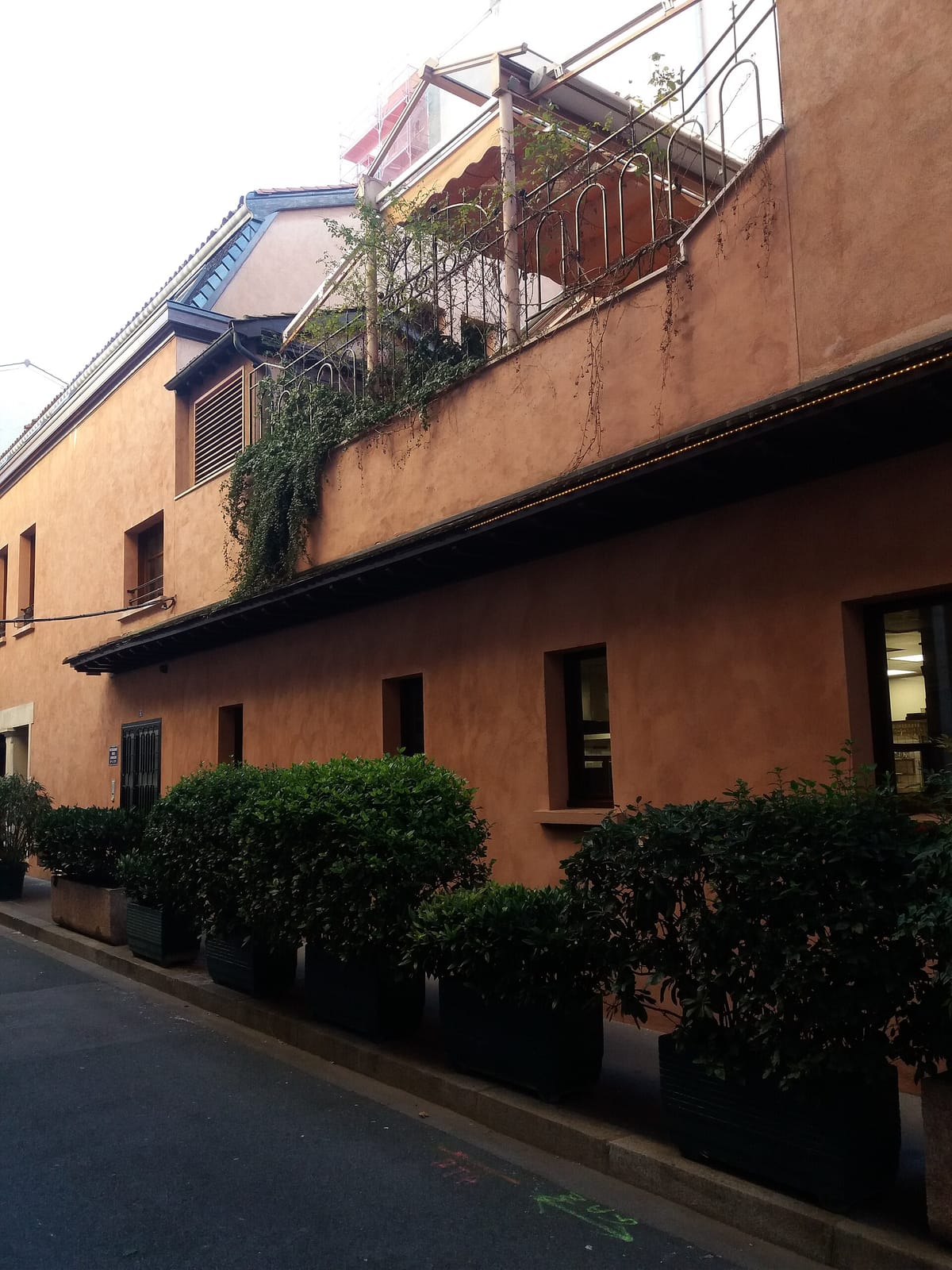 Café Paradis photo 3