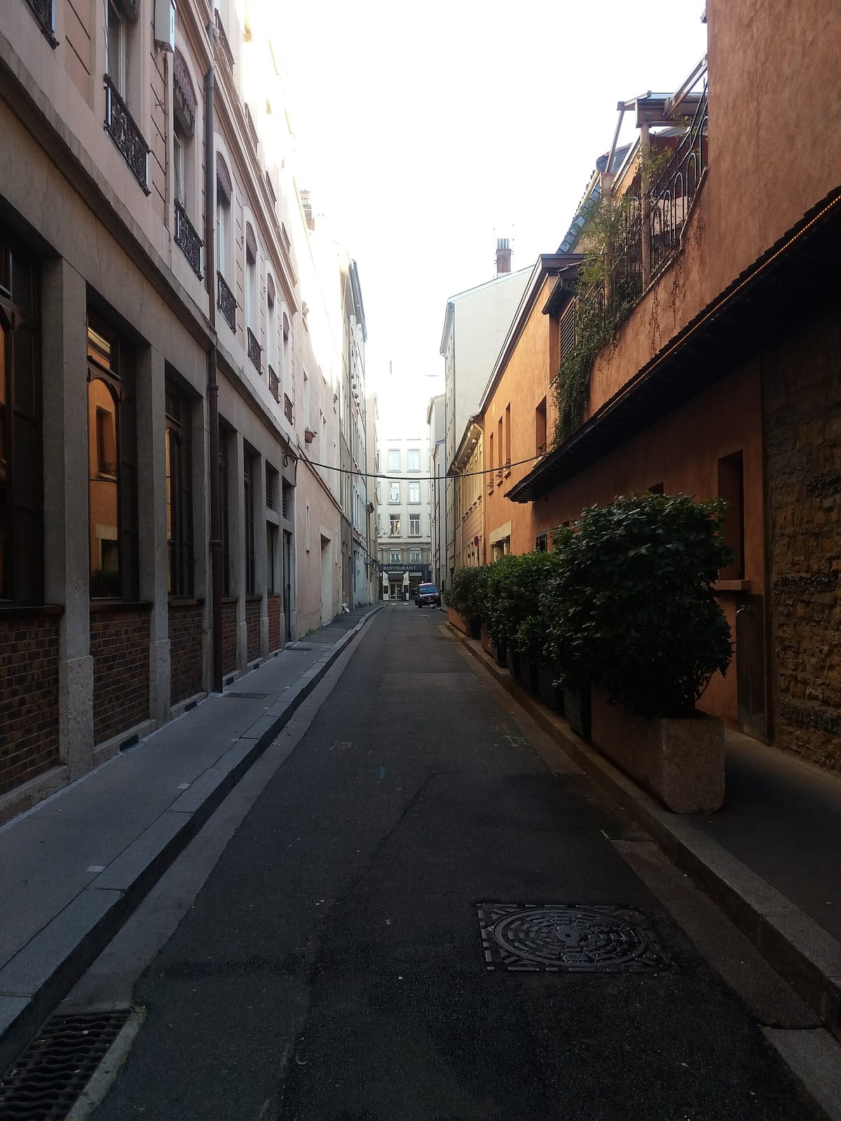 Café Paradis photo 4