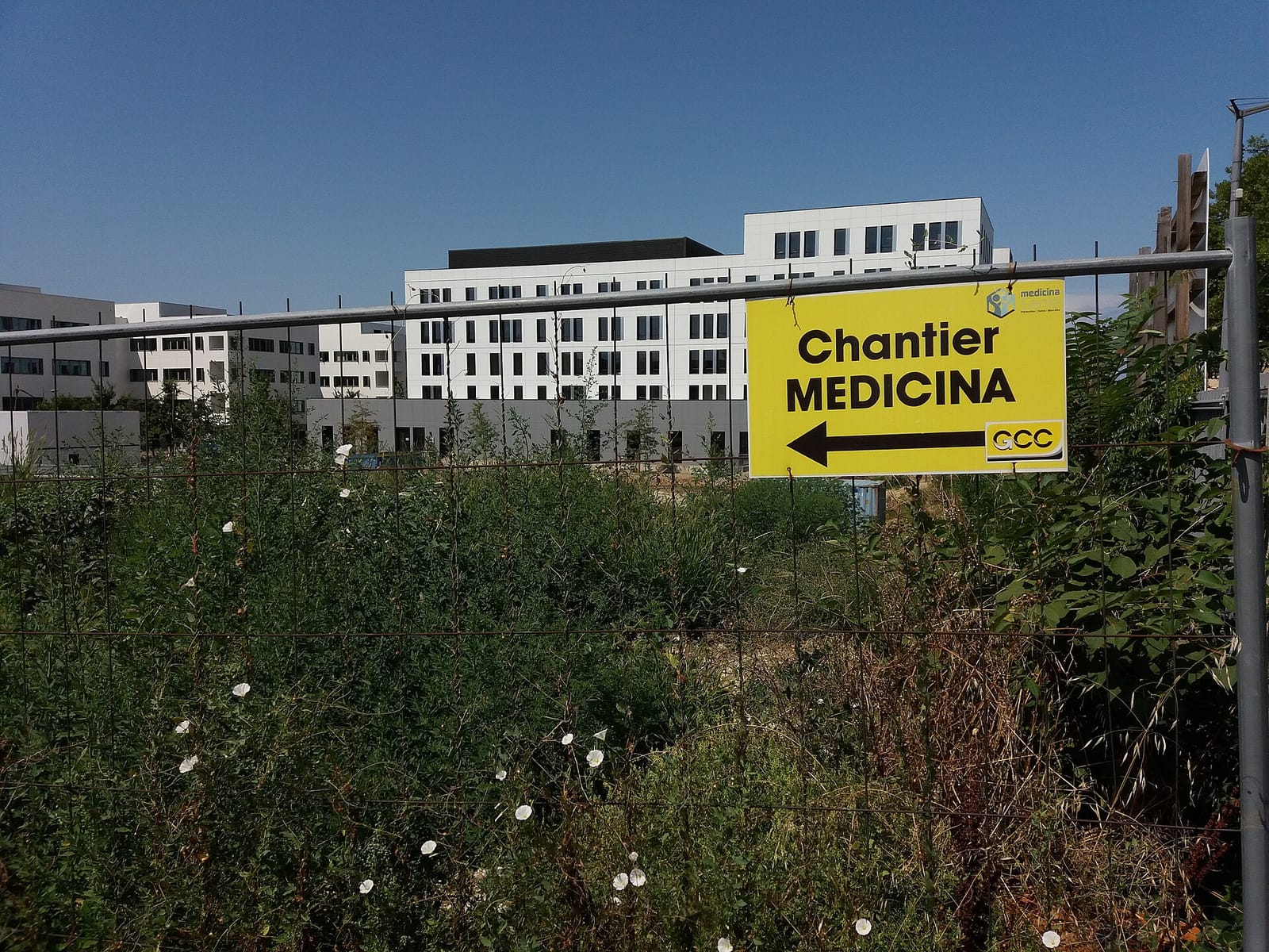 Moi Flexitarien photo 3