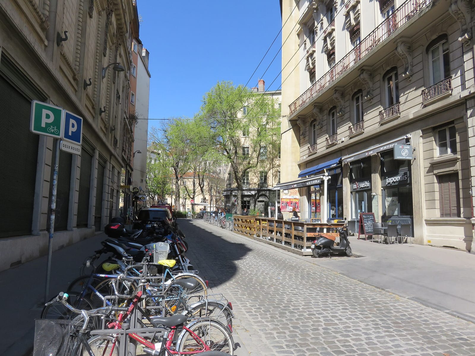 Papé photo 3