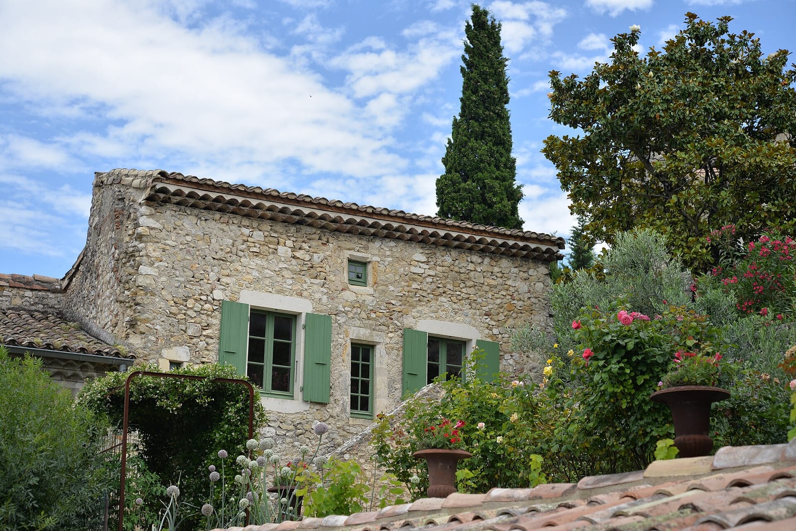 Café Bert photo 3