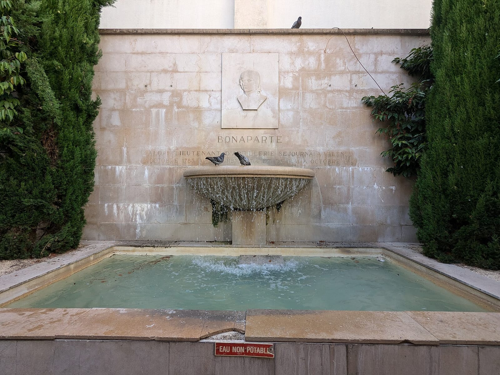 Stella Café photo 3