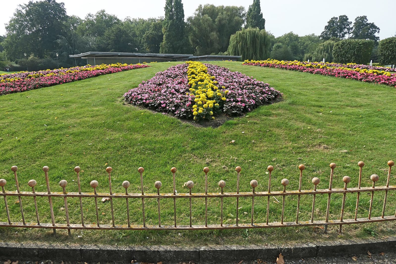 Tea Terrace photo 4