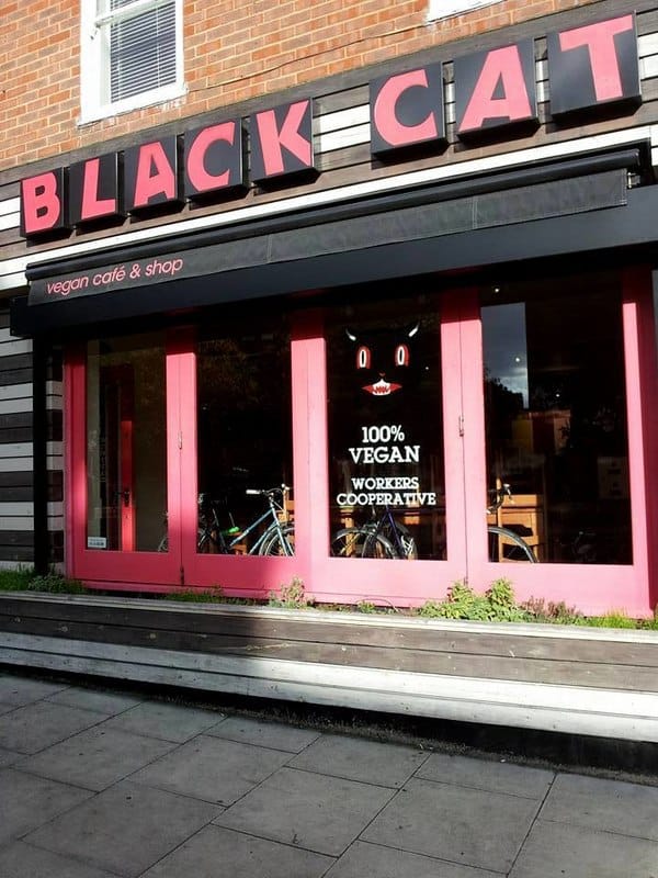 Black Cat Cafe photo 2