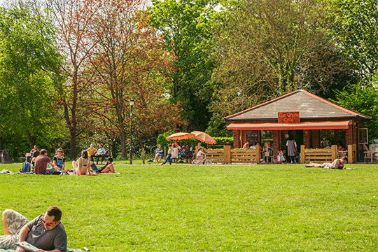 The Grove Café photo 2