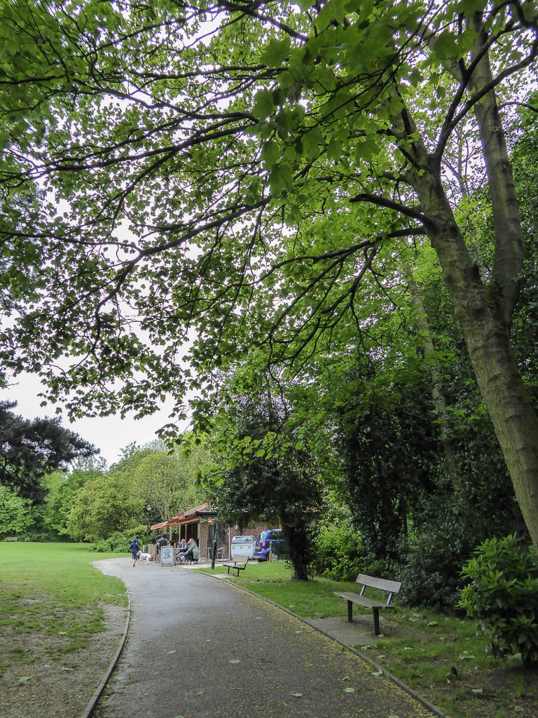 The Grove Café photo 6