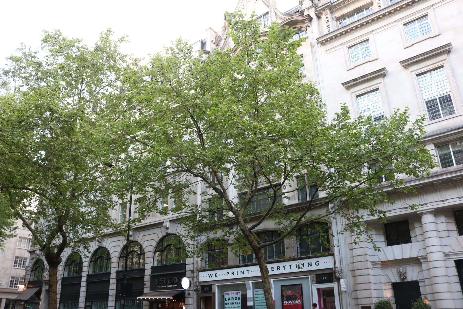 Caffè Nero