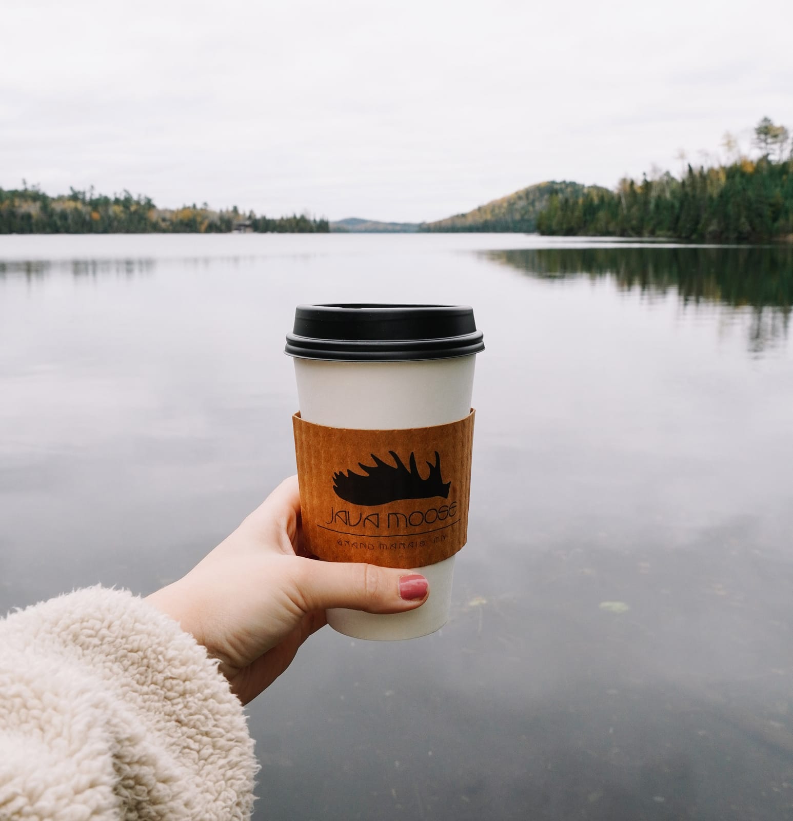 Java Moose