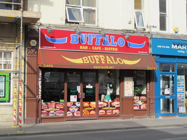 Buffalo photo 5