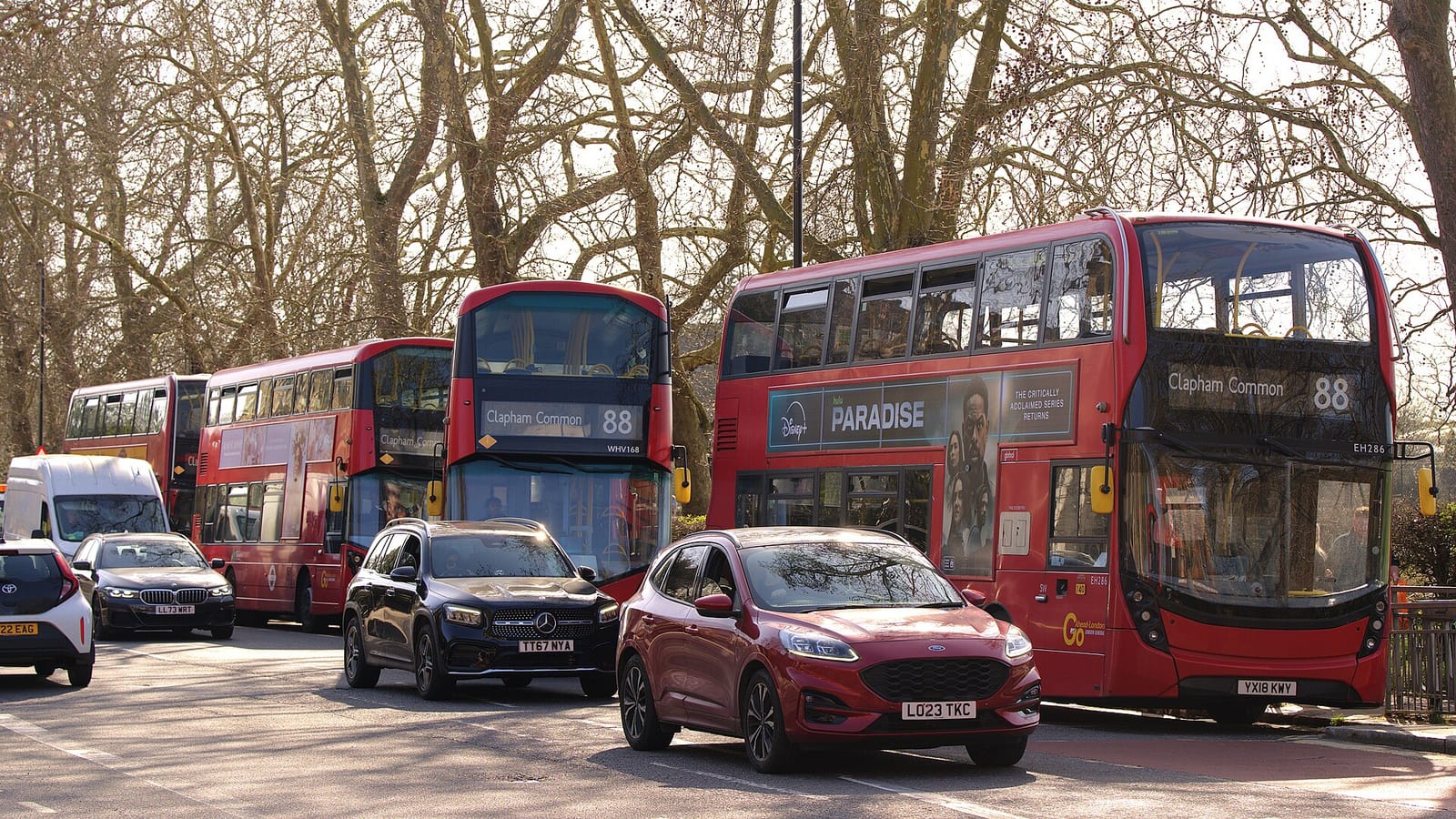 Bistro Laz photo 2