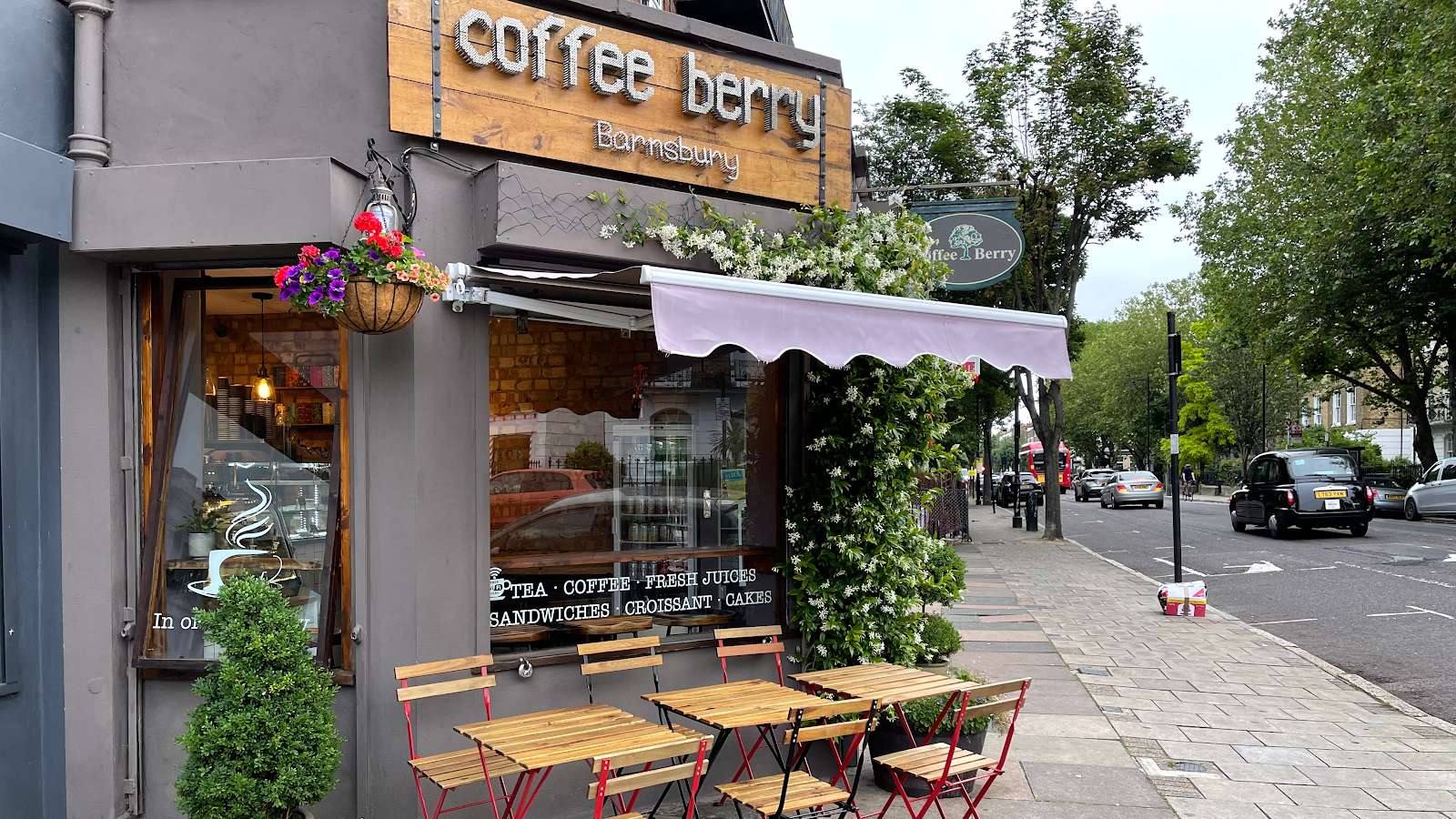 Coffee Berry