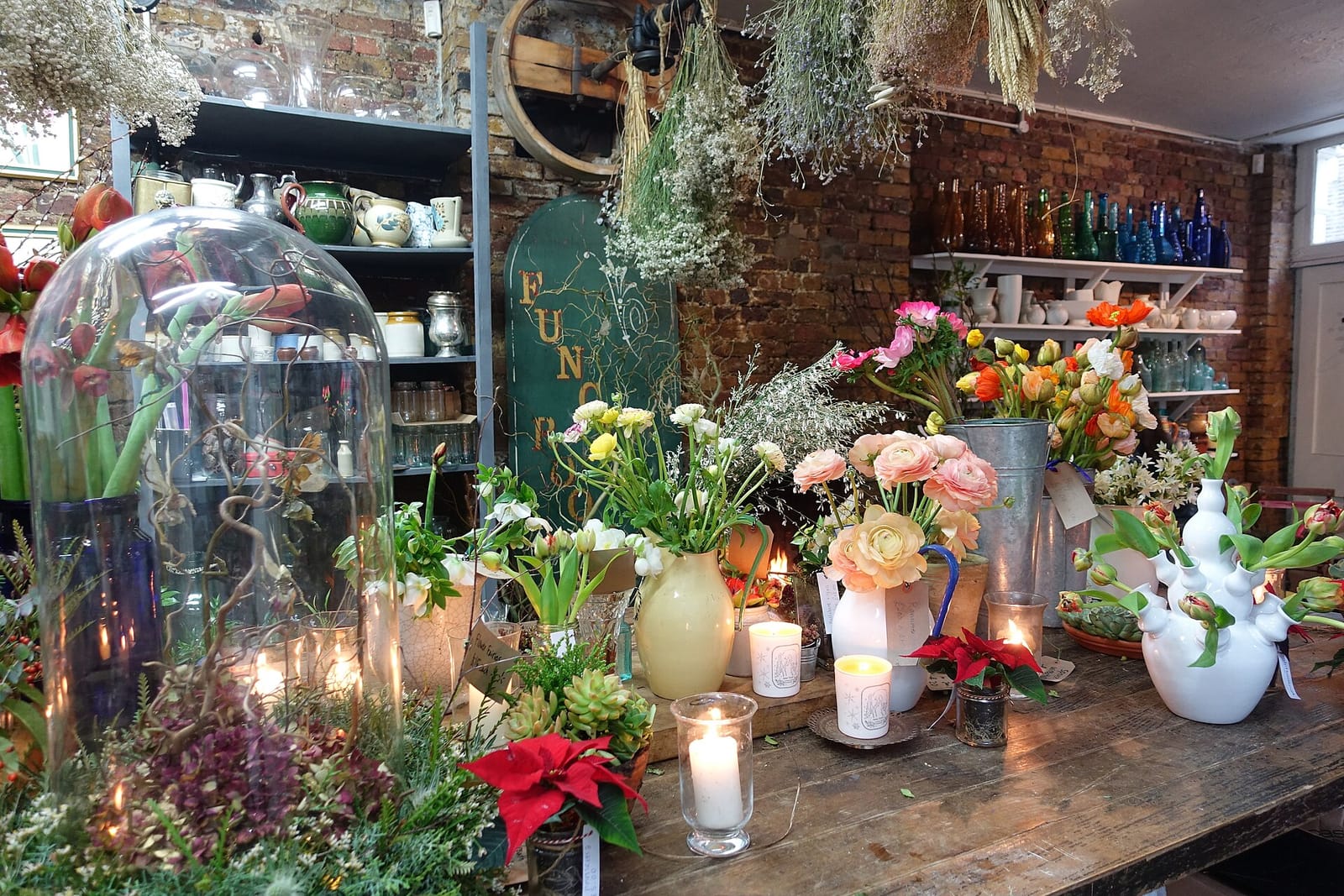 The Electric Elephant Cafe & Gallery photo 6