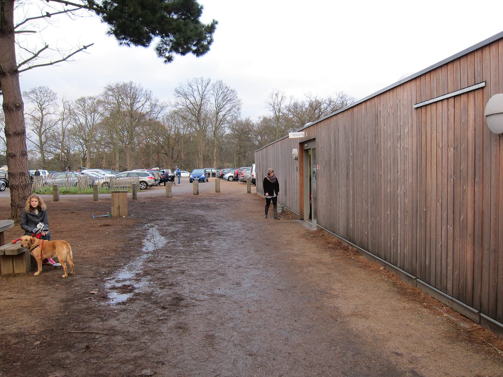 The Pheasantry photo 3