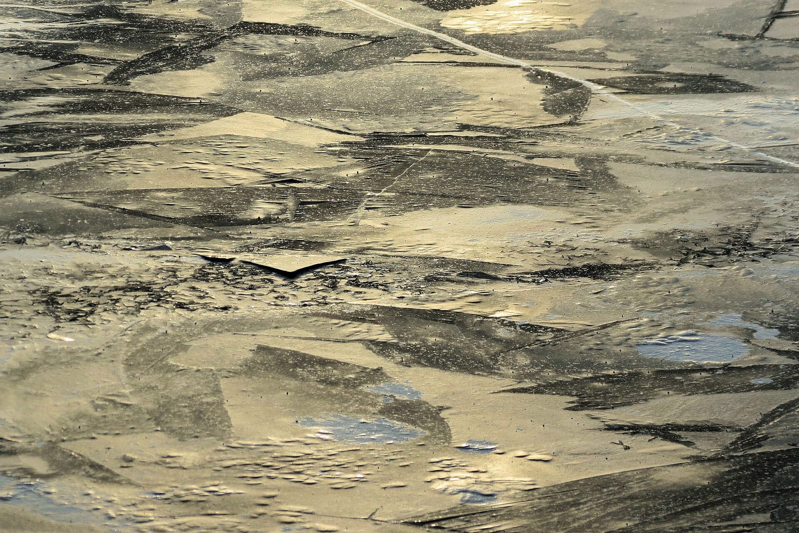 Marsworth Water's Edge photo 4