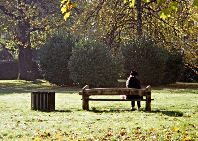 Enfield Town Park Cafe photo 2