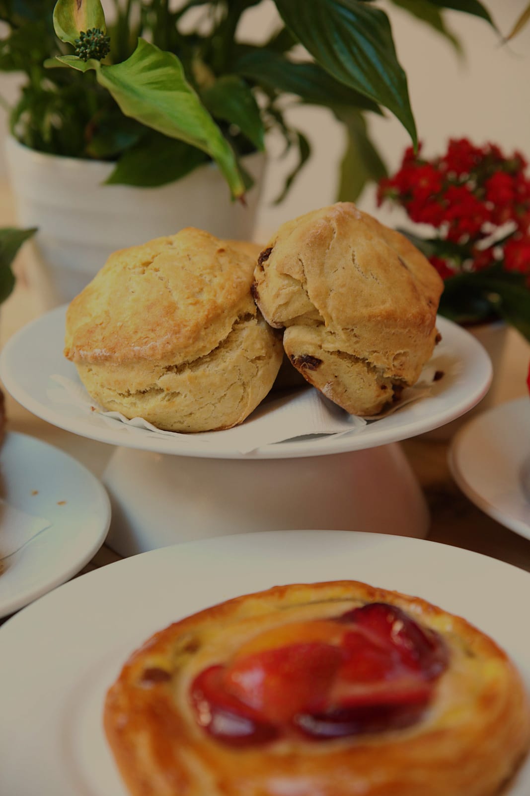 Dee Light Bakery photo 2