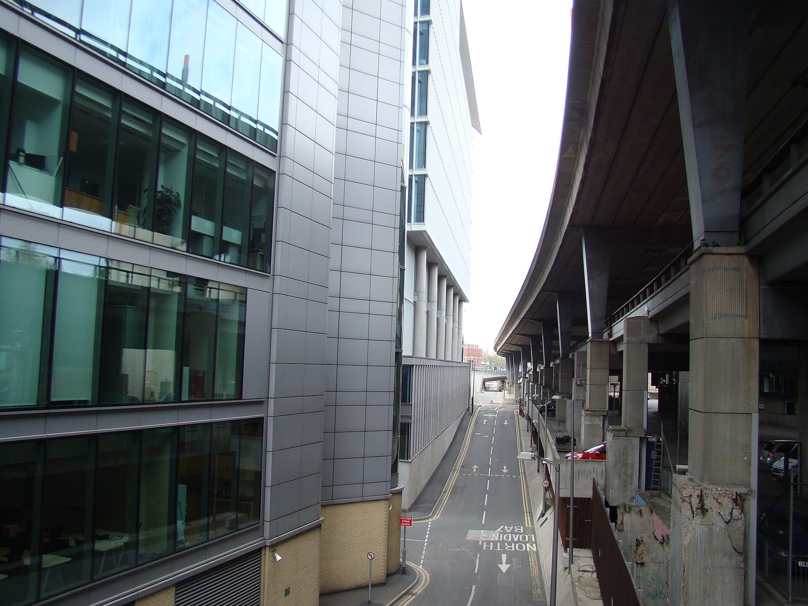 Beany Green photo 4