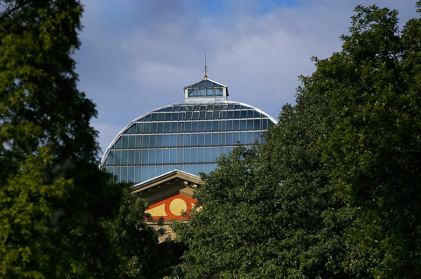 Alexandra Palace Garden Centre Cafe photo 2