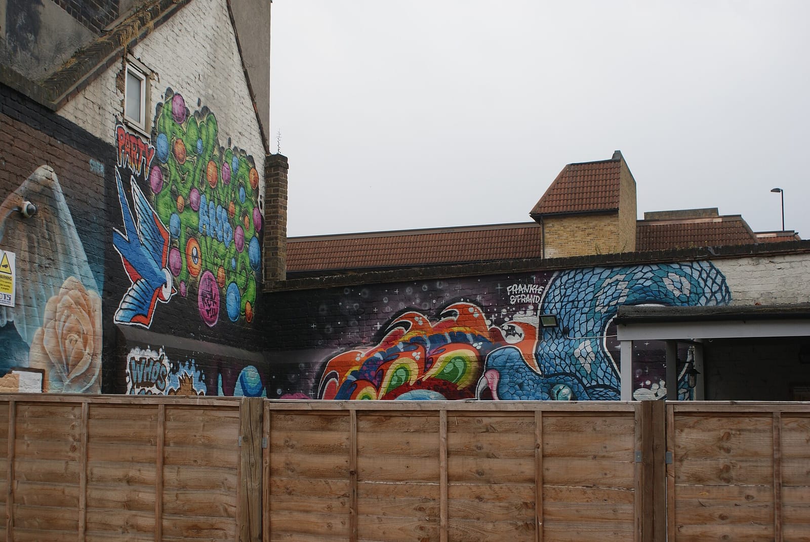 Tudor Rose photo 6