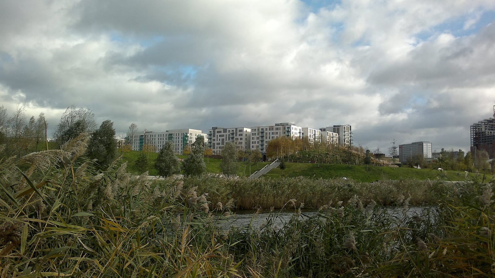 Signorelli photo 4