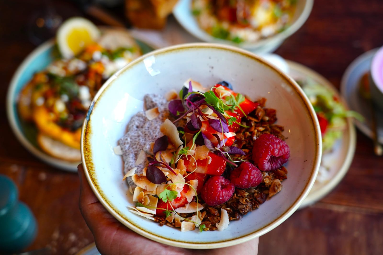 Bobo & Wild photo 4