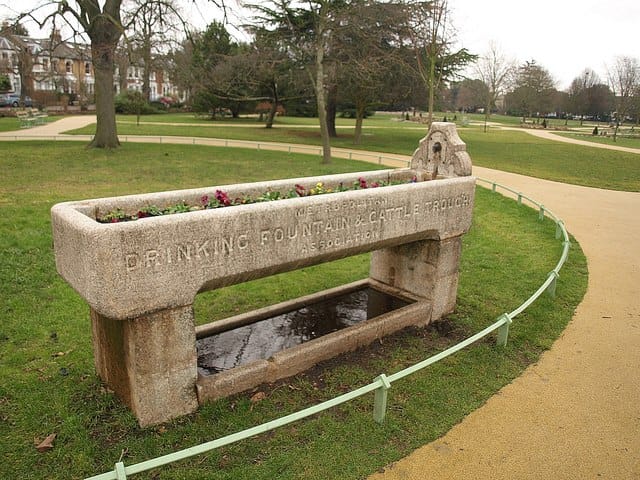 Bliss in the Park photo 3
