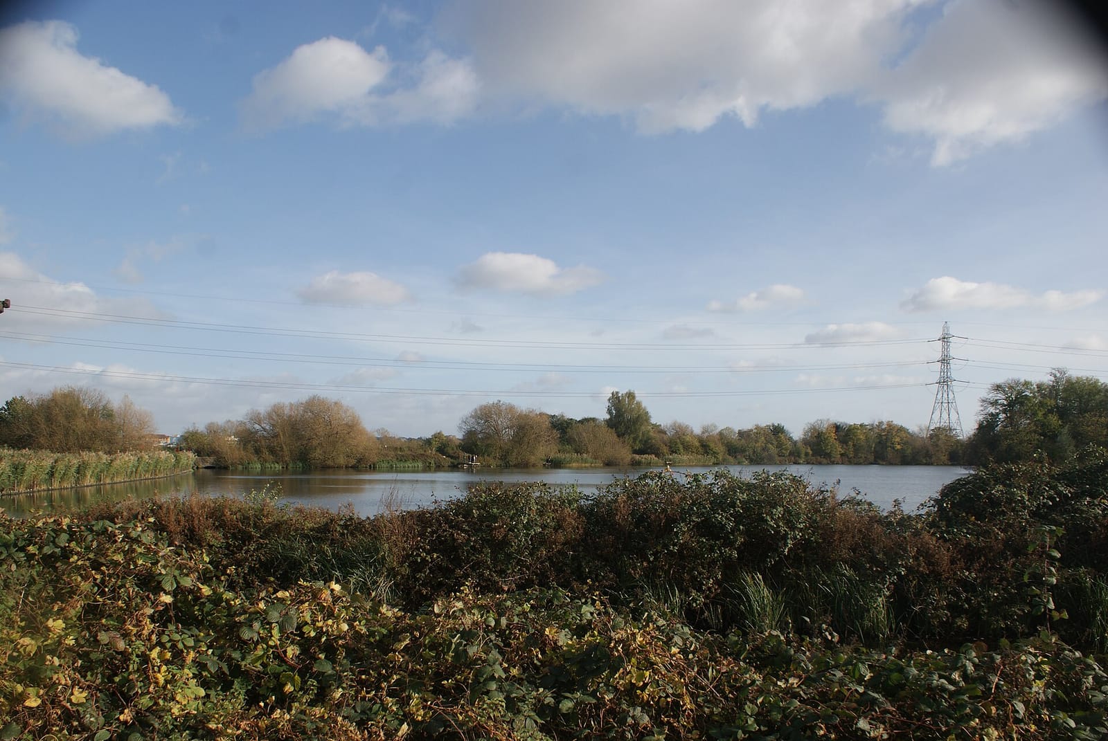 The Larder photo 4