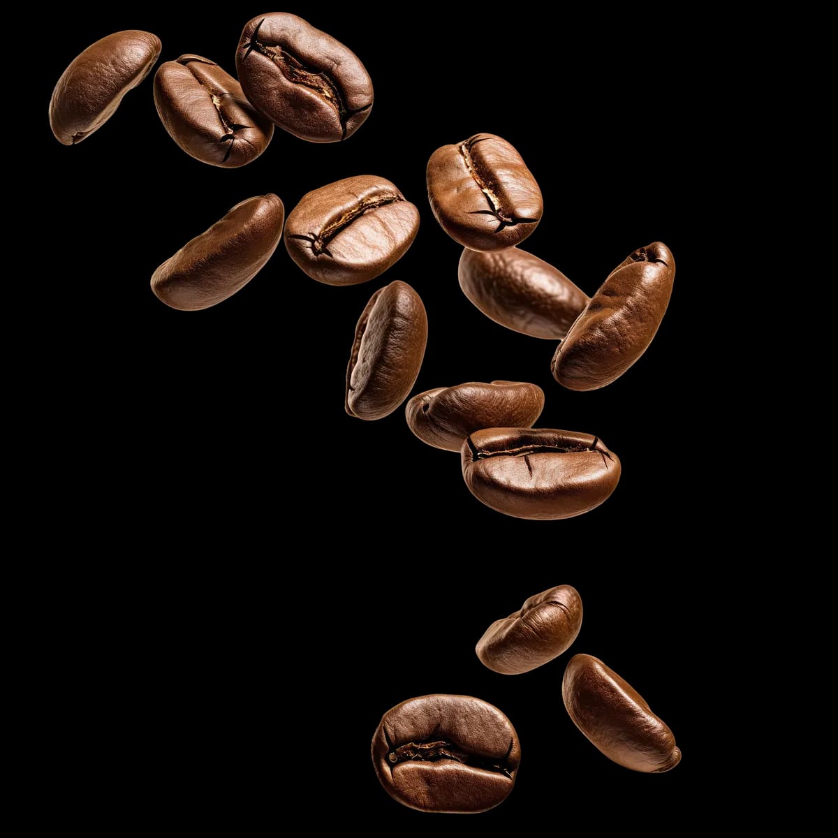 Coffee Matters photo 3