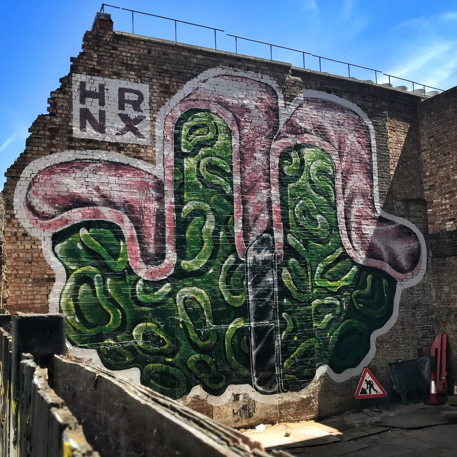 Suba photo 4