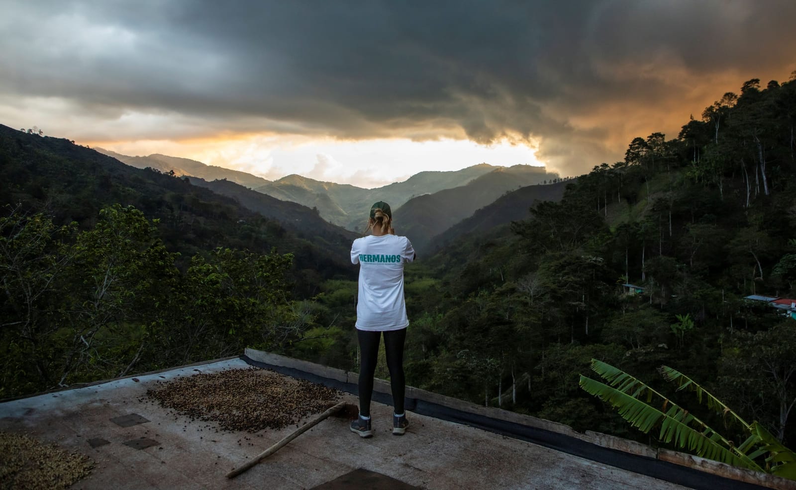 Hermanos Colombian Coffee Roasters photo 2